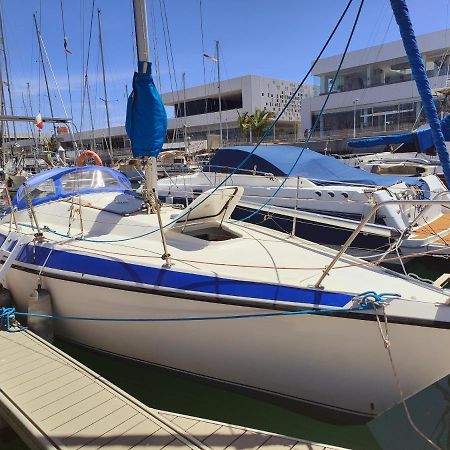 阿雷西费 Lanzarote Pirat酒店 外观 照片