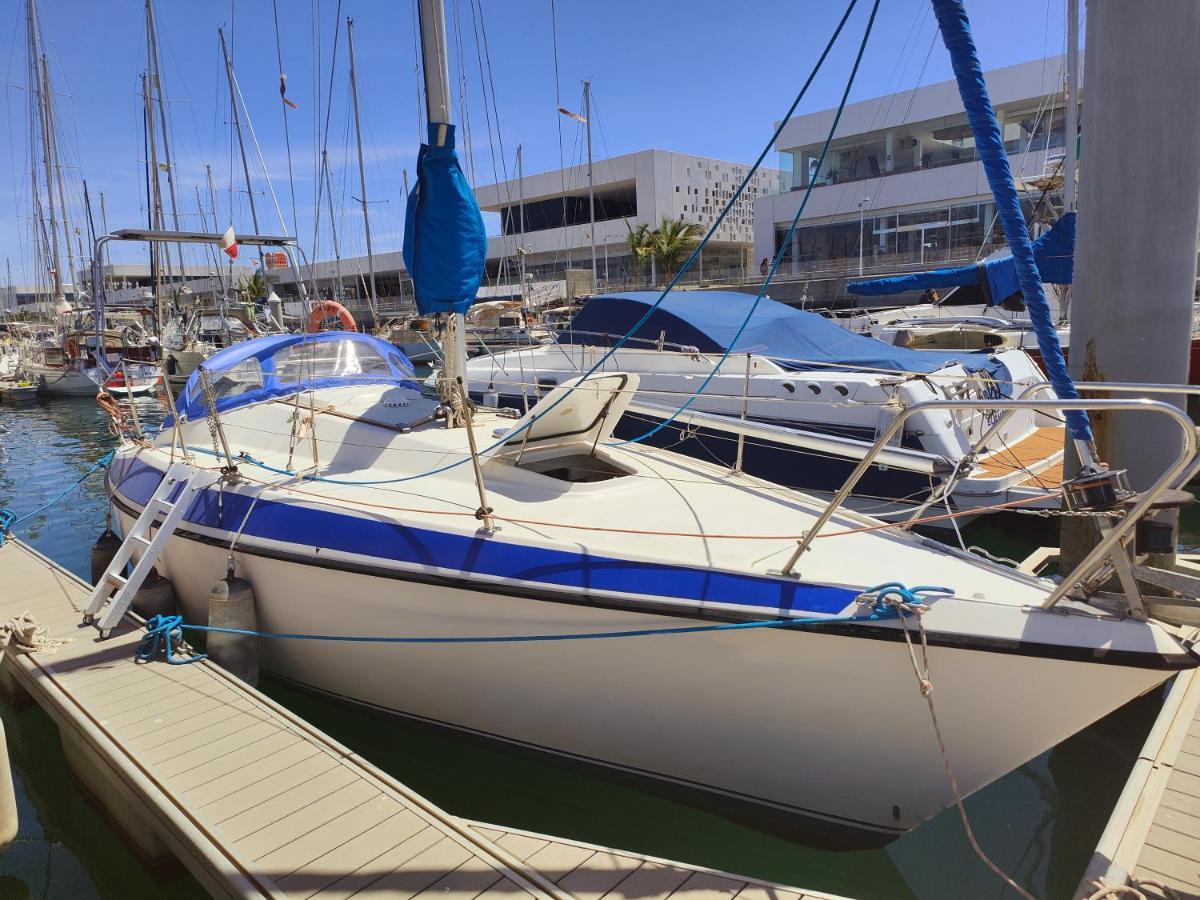 阿雷西费 Lanzarote Pirat酒店 外观 照片